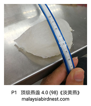 马来西亚燕窝